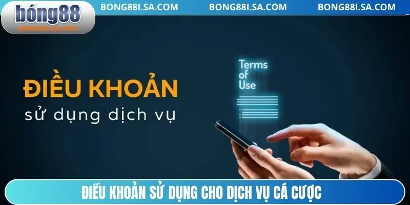 Điều khoản sử dụng cho dịch vụ cá cược